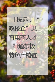 抚远：“政校企”共育电商人才 打通东极特色产销链